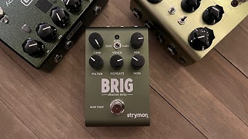 The new Strymon Brig is amazing on synth ! (My new favorite analog voiced delay)