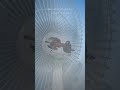 How a Fan Moves Side to Side | Oscillating Mechanism Explained in 3D