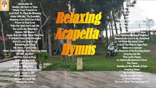 Relaxing Acapella Hymns screenshot 2