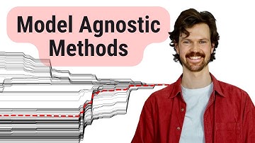 Model Agnostic Methods for XAI | Global v.s. Local | Permutation v.s. Surrogate Models