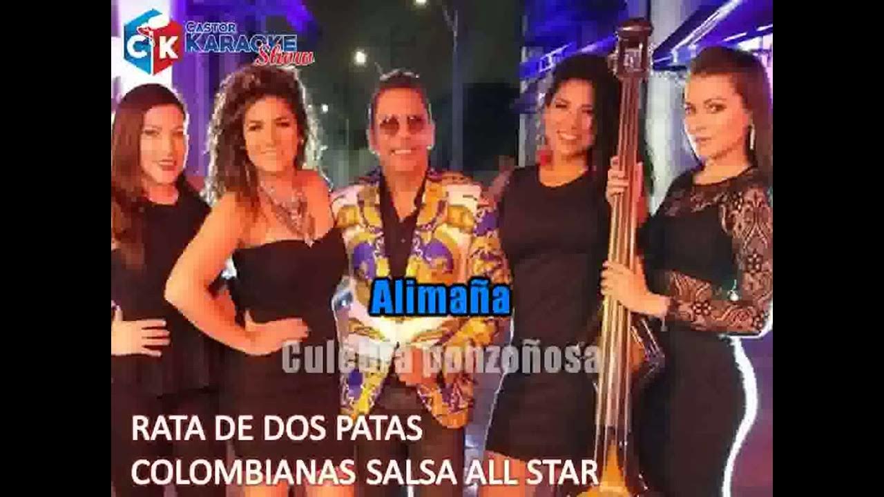 karaoke rata de dos patas colombianas salsa all star YouTube