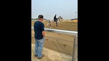 The Met Mile Horses by the Thorograph Numbers and Patterns, Belmont Stakes thoughts