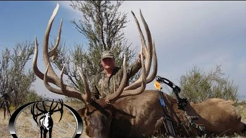 443" and 403" MONSTER Archery Elk Hunts (Free Range) - MossBack