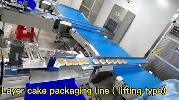 Layer cake packaging line lifting conveyor, layer cake flow packaging machine, cake packaging line