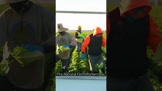 National Farm Worker Day #farmworkerappreciation #farming #gratitude