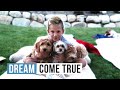 It’s Official We Have 3 Dogs | Rhett’s First Job | The LeRoys