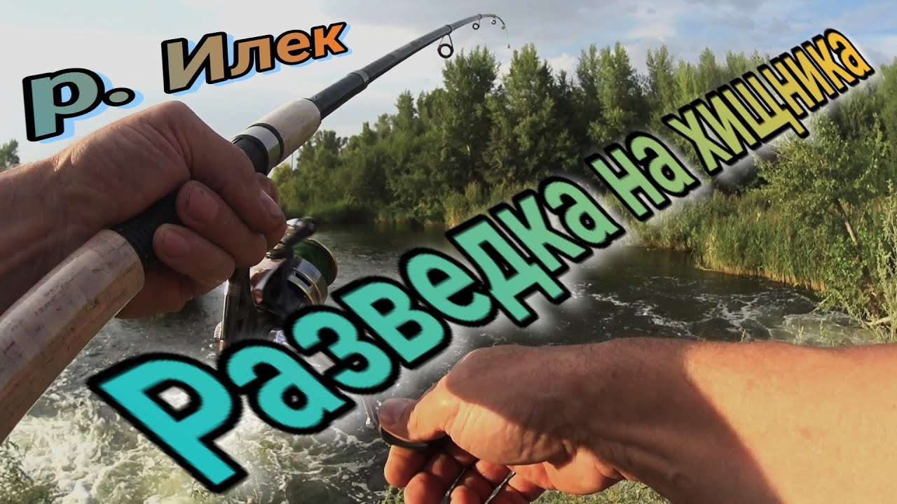 Оил сенсор воркшоп фольксваген Оил сенсор воркшоп фольксваген