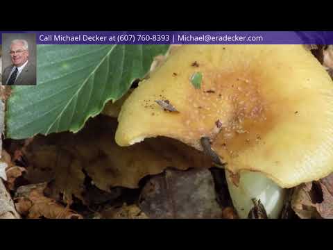 274 Shingle Street, Cincinnatus, NY home video tour