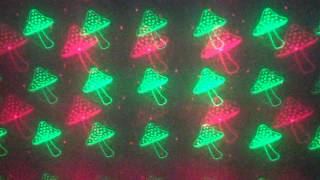 DSCF8232