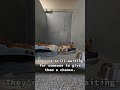 but you can change it. #viral #uk #usa#savethemall #adoptdontshop  #adoptone #adoptlove #adoptdon
