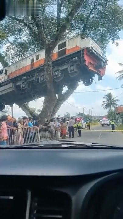 Train stuck in a tree #shorts #viralvideo #funny