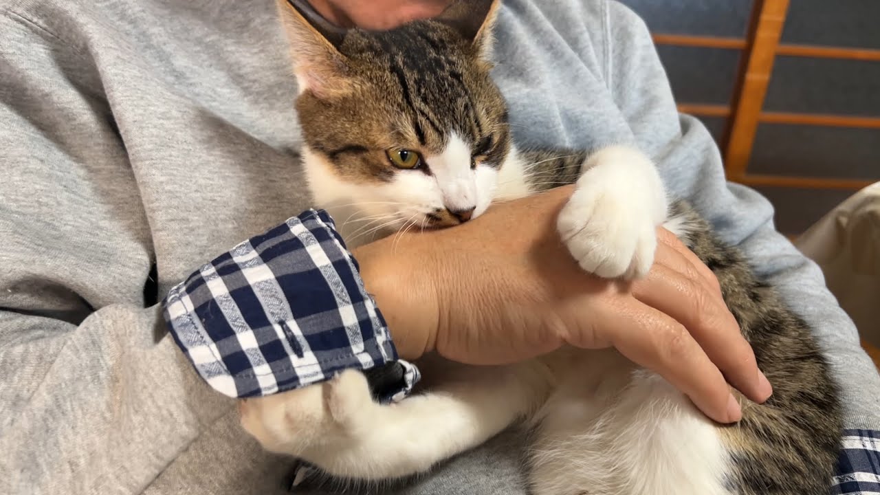 住職の手をガブッ！何があった⁉️