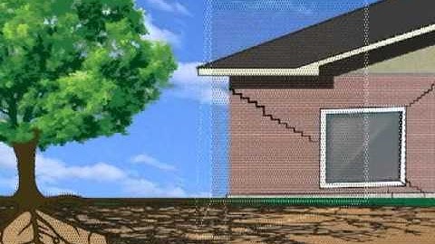 Root Barrier-Tree Root Damage Prevention