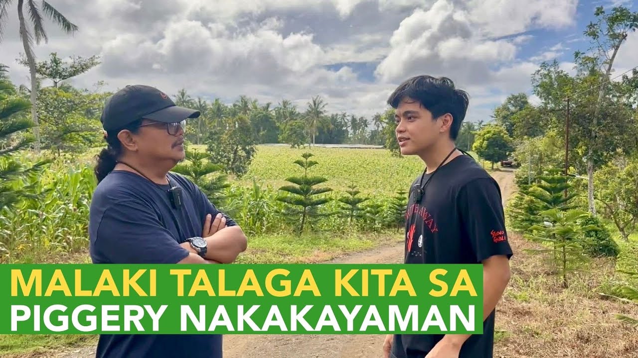 Malaki Talaga ang Kita sa Piggery, Tapos Pinas-process pa as Tocino kaya Malaki Talaga!