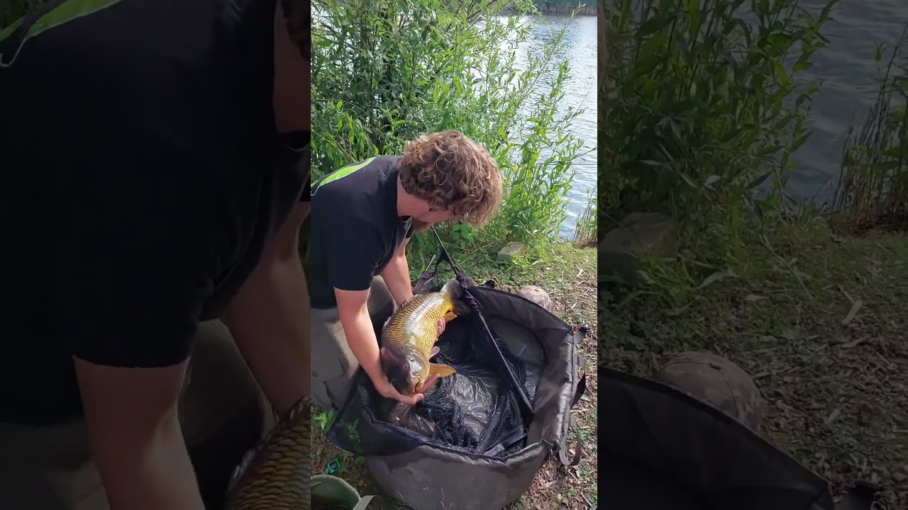 The other side of the camera