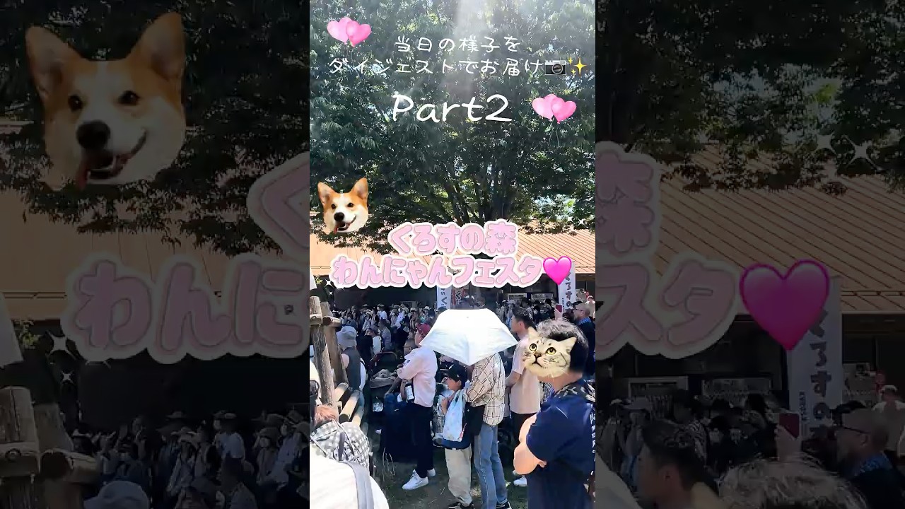 『くろすの森 わんにゃんフェスタ』ダイジェスト第2弾です🐾 #ペット #ペッツビレッジクロス #猫のいる暮らし #犬のいる暮らし　#わんにゃんフェスタ