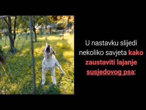 Video: Koliko Vpliva Vedenje Psa Na To, Kako Zelo Je Ljubljeno?