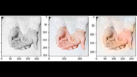 Image Colorization using AE