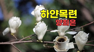양희은  -  하얀목련 (1983년)