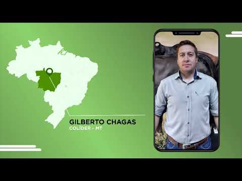 PECUARISTA “CABECEIRA” DE MATO GROSSO APRESENTA CONFINAMENTO DE 30 MIL CABEÇAS POR ANO