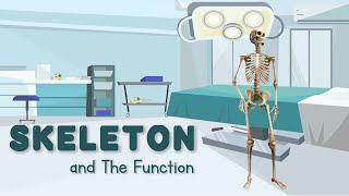 SKELETON AND THE FUNCTION for KID