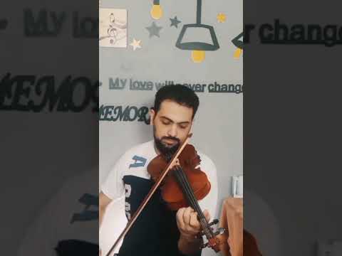 وبينا معاد عمرو دياب