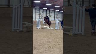 Show tm!!!! #horse #horseriding #equestrian #riding #jumping