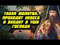 Такая Молитва, хотя и краткая, но проходит небеса и входит в уши Господа! Тихон Задонский