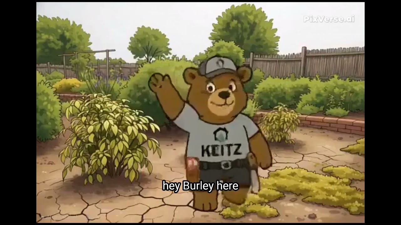 Overwatering vs. Underwatering 