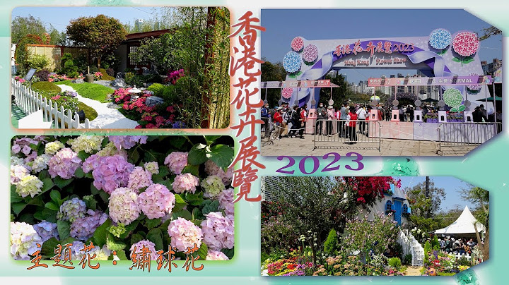香港花卉展覽 2023 - 天天要聞