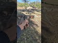 Dan and Wesson .357 CTG