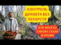 Не отказывайтесь от сладкого! Эти фрукты содержат природные "лекарства" от диабета #здоровье