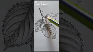 Realistic Leaf Drawing with Pencil | Step-by-Step Shading Tutorial