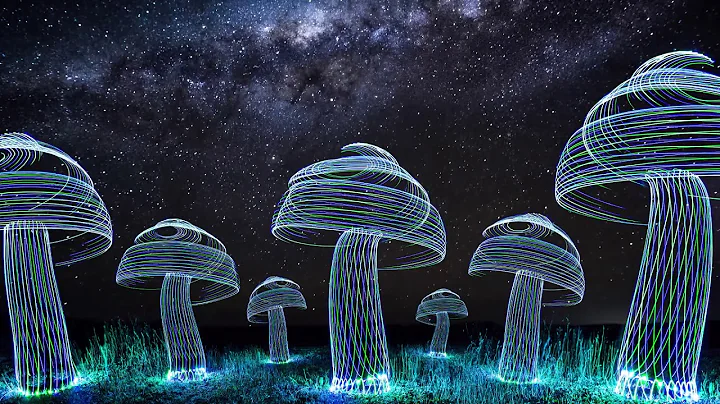 LIGHT PAINTING TUTORIAL: Bicycle wheel to create Mushrooms