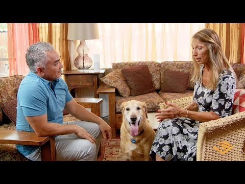 Audible For Dogs Presents A Case Study: Leslie and Buddy