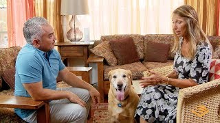 Audible For Dogs Presents A Case Study: Leslie and Buddy