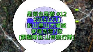 是郊也是遊 #12 20161211 針山草山大埔墟