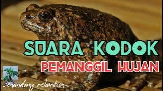 SUARA KODOK PEMANGGIL HUJAN BIKIN RELAXS, BIKIN CEPAT TIDUR.. (senandung relaxtion)..