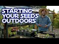 Starting all your seeds outside  what to expect