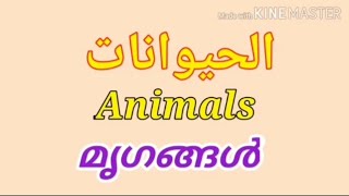Let's learn the names of animals in Arabic