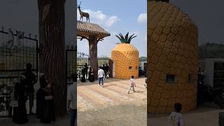 Jamua Giridih Eco Park -#giridih #viralvideo #subscribenow #viral #sub #reels #bestyoutuber