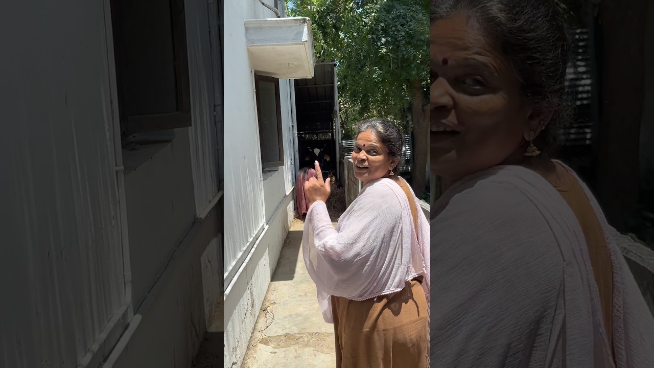 Ena koduma sir ithu🤣😜#heartthrottlers #trendingshorts #trending #amma #comedy