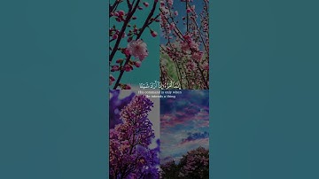 أو ليس الذي خلق السماوات  والأرض من سورة يس بصوت الشيخ ماهر المعيقلي