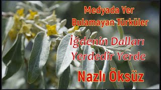 İĞDENİN DALLARI YERDEDİR YERDE/  NAZLI ÖKSÜZ KİMDİR? MEDYADA YER BULAMAYAN TÜRKÜLER/ 381  BÖLÜM Resimi