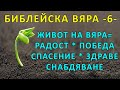 5 неща, които имаме, ако живеем живот на вяра - п-р Татеос - 17.03.2022