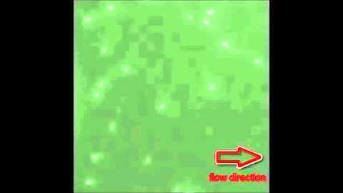 Human sperm rheotaxis: a passive physical process