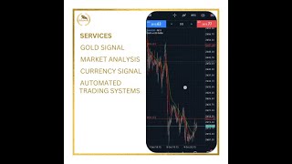 Best Forex Signal Service Provider In Miami