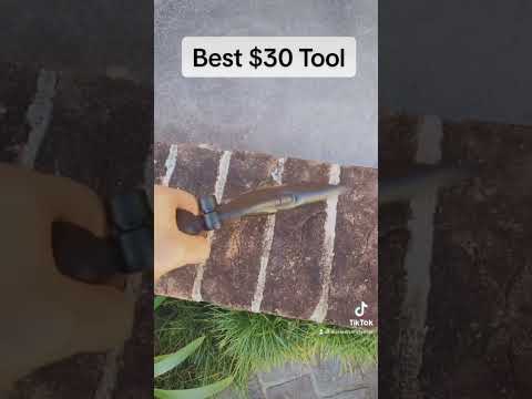 Best $30 Investment