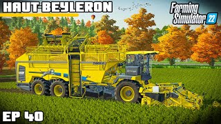 LET'S GET THIS MONSTER INTO THE BEET | Farming Simulator 22 - Haut-Beyleron | Episode 40