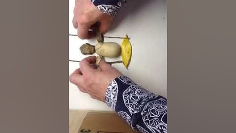 Art with found objects from nature